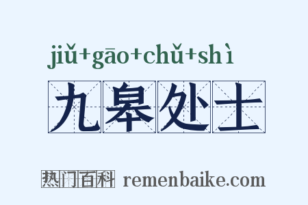 九皋处士是什么意思的图片